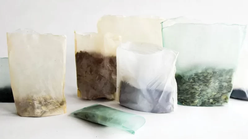 Guide on Sustainable Packaging Materials